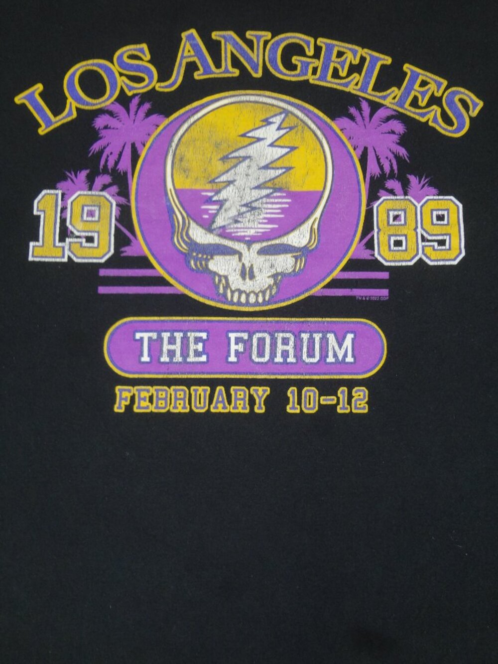 GRATEFUL DEAD THE FORUM LA 1989 CONCERT REPRO STEALIE BLACK 3XL T-SHIRT L961